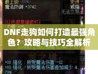 DNF走狗如何打造最強(qiáng)角色？攻略與技巧全解析