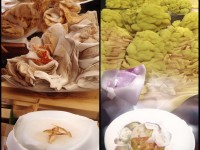 仙境傳說RO手游，詩人職業(yè)，如何用詩意旋律編織傳奇？