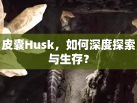 皮囊Husk，如何深度探索與生存？