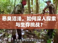 惡臭沼澤，如何深入探索與生存挑戰(zhàn)？