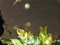 夢幻手游囤貨價格，如何平衡策略與風險？