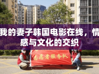 我的妻子韓國(guó)電影在線，情感與文化的交織