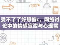 受不了了好想被c，網(wǎng)絡(luò)討論中的情感宣泄與心理需求