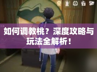 如何調(diào)教桃？深度攻略與玩法全解析！