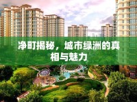 凈町揭秘，城市綠洲的真相與魅力