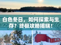 白色冬日，如何探索與生存？終極攻略揭曉！