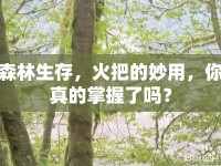 森林生存，火把的妙用，你真的掌握了嗎？