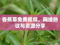 香蕉草免費視頻，網(wǎng)絡(luò)熱議與資源分享