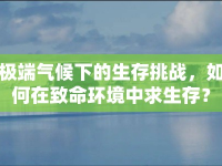 極端氣候下的生存挑戰(zhàn)，如何在致命環(huán)境中求生存？