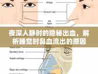 夜深人靜時的隱秘出血，解析睡覺時鼻血流出的原因與應(yīng)對策略