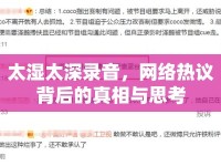 太濕太深錄音，網(wǎng)絡(luò)熱議背后的真相與思考