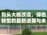 包頭大棚改造，綠色轉型的最新進展與未來展望