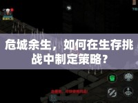 危城余生，如何在生存挑戰(zhàn)中制定策略？