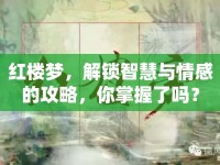 紅樓夢(mèng)，解鎖智慧與情感的攻略，你掌握了嗎？