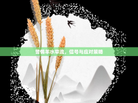 警惕羊水早流，信號與應對策略