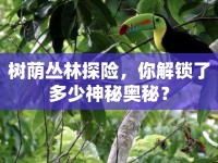 樹蔭叢林探險，你解鎖了多少神秘奧秘？