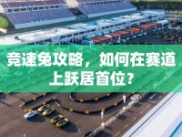競(jìng)速兔攻略，如何在賽道上躍居首位？