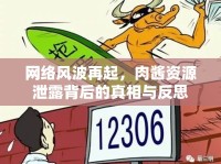網(wǎng)絡(luò)風(fēng)波再起，肉醬資源泄露背后的真相與反思