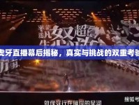 虎牙直播幕后揭秘，真實(shí)與挑戰(zhàn)的雙重考驗(yàn)