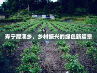 壽寧犀溪鄉(xiāng)，鄉(xiāng)村振興的綠色新篇章