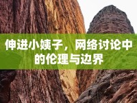 伸進小姨子，網(wǎng)絡(luò)討論中的倫理與邊界