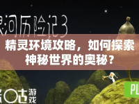 精靈環(huán)境攻略，如何探索神秘世界的奧秘？