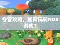 冬宮攻略，如何玩轉(zhuǎn)NDS游戲？