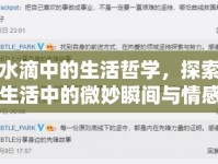 水滴中的生活哲學(xué)，探索生活中的微妙瞬間與情感共鳴