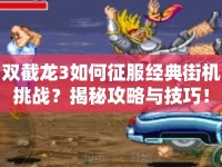 雙截龍3如何征服經(jīng)典街機(jī)挑戰(zhàn)？揭秘攻略與技巧！