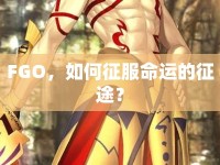 FGO，如何征服命運的征途？