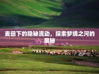 麥田下的隱秘流動，探索夢境之河的奧秘