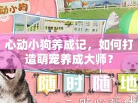 心動(dòng)小狗養(yǎng)成記，如何打造萌寵養(yǎng)成大師？