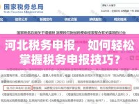 河北稅務(wù)申報(bào)，如何輕松掌握稅務(wù)申報(bào)技巧？