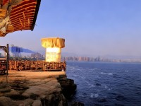 熟女中文字幕為何成為文化、藝術(shù)與情感的交匯點(diǎn)？