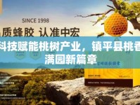 科技賦能桃樹產(chǎn)業(yè)，鎮(zhèn)平縣桃香滿園新篇章