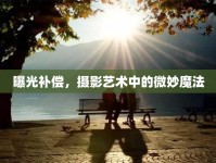 曝光補償，攝影藝術(shù)中的微妙魔法