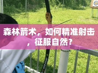 森林箭術(shù)，如何精準(zhǔn)射擊，征服自然？