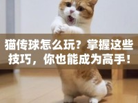 貓傳球怎么玩？掌握這些技巧，你也能成為高手！