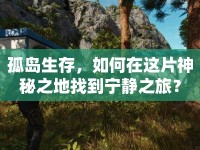 孤島生存，如何在這片神秘之地找到寧靜之旅？