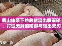盾山體系下的養(yǎng)豬流出裝策略，打造無解的防御與輸出雙刃劍