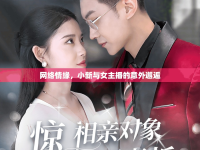 網(wǎng)絡(luò)情緣，小新與女主播的意外邂逅
