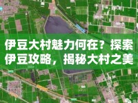 伊豆大村魅力何在？探索伊豆攻略，揭秘大村之美！