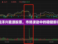 遠洋興能源股票，市場波動中的穩(wěn)健前行