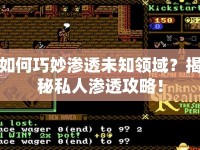 如何巧妙滲透未知領(lǐng)域？揭秘私人滲透攻略！