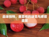 品味獨特，塞荔枝的味覺與感官盛宴