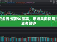 資金流出前50股票，市場風(fēng)向標與投資者警鐘