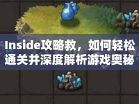 Inside攻略救，如何輕松通關(guān)并深度解析游戲奧秘？
