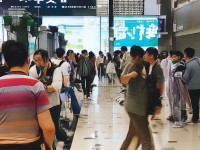 國產(chǎn)A網(wǎng)，如何重塑中國的數(shù)字內(nèi)容新格局？