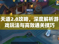 天道2.0攻略，深度解析游戲玩法與高效通關(guān)技巧