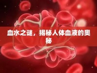 血水之謎，揭秘人體血液的奧秘